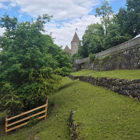 Cruise Durch Herz Der Altstadt * Rapperswil-Jona