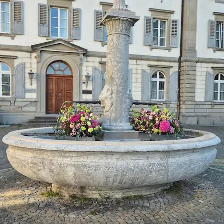 Cruise Durch Herz Der Altstadt Rapperswil-Jona