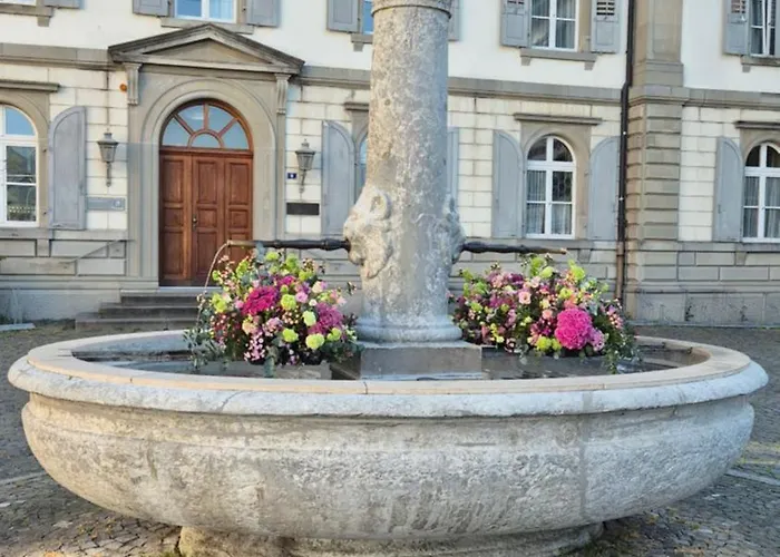 Cruise Durch Herz Der Altstadt Rapperswil-Jona