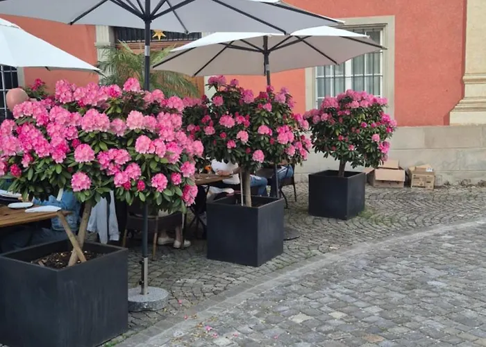 Daire Cruise Durch Herz Der Altstadt