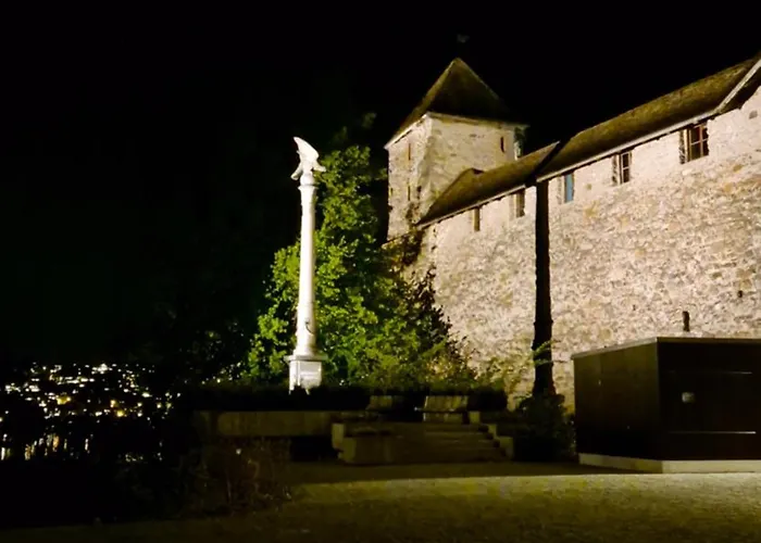 Daire Cruise Durch Herz Der Altstadt Rapperswil-Jona